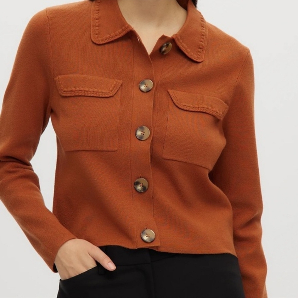 Joie Terracotta Knit Button Front Collared Cardigan